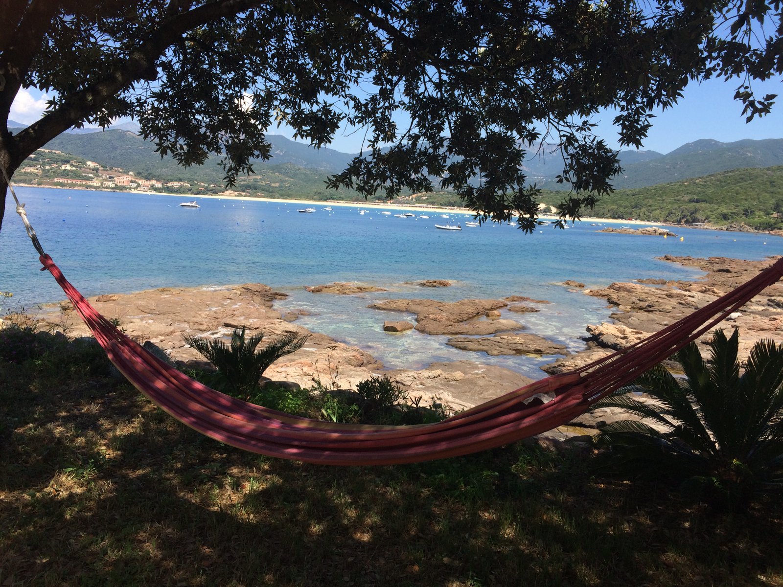 Hamac face à la baie